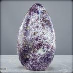 Pierre licorne rare 100% naturel Forme libre- 1386.67 g