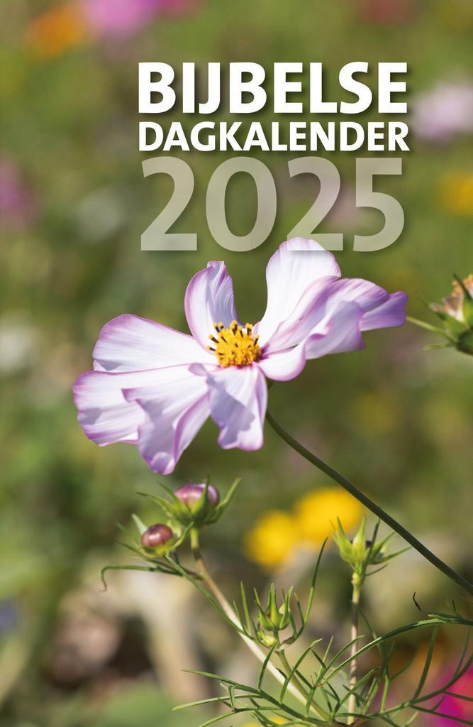 Bijbelse Dagkalender 2025 (9789043540704, Diverse auteurs), Boeken, Studieboeken en Cursussen, Nieuw, Verzenden