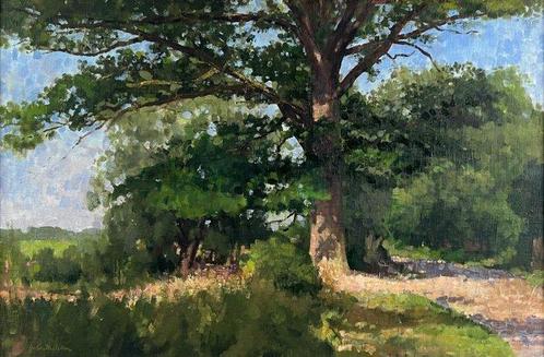 John Borland McLellan (XX) - Study of an oak, Antiek en Kunst, Kunst | Schilderijen | Klassiek