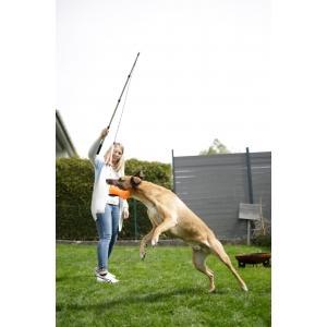 Canne à pêche pour chien 47-130cm, Animaux & Accessoires, Accessoires pour chiens