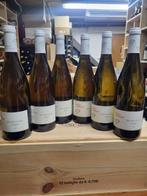 2019 David Moreau, Bourgogne Aligoté - Bourgogne - 6 Flessen, Verzamelen, Nieuw