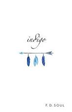 Indigo 9781540756190 F D Soul, Verzenden, Gelezen, F D Soul