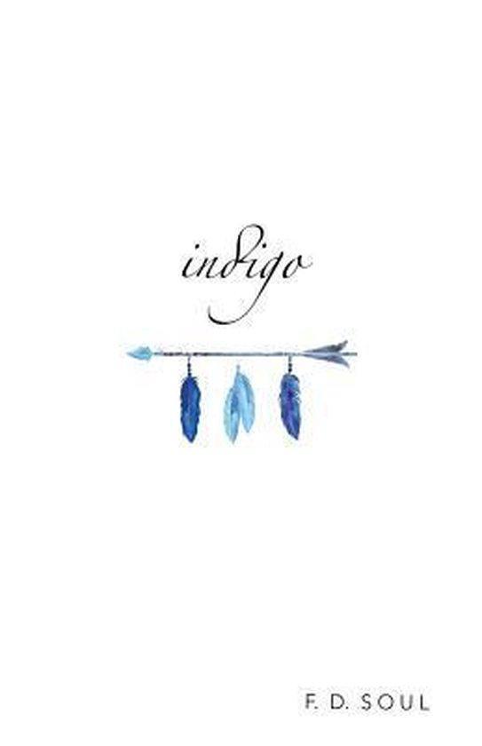 Indigo 9781540756190 F D Soul, Boeken, Taal | Engels, Gelezen, Verzenden