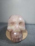 Menselijke kraan Gesneden schedel - Crâne humain - 18 cm -