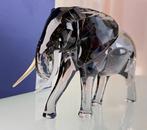 Swarovski - Figuur - Africa Elefante Bull - 5611302 - Glas