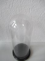 Stolp - Glas en hout - 1900-1910, Antiek en Kunst