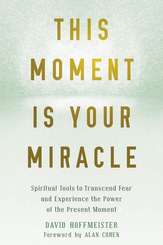 This Moment Is Your Miracle 9781684031870 David Hoffmeister, Boeken, Taal | Engels, Zo goed als nieuw, Verzenden