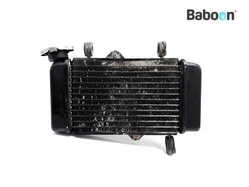 Radiateur Yamaha MT-125 2017-2019 (MT125 RE292 BR3) Bolts, Motoren, Onderdelen | Yamaha, Gebruikt, Verzenden