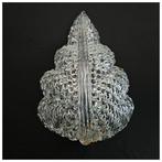 Wandlamp - Muranoglas