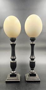 Struisvogel Ei - struthio camelus ei Ostrich egg - 480 mm -, Nieuw