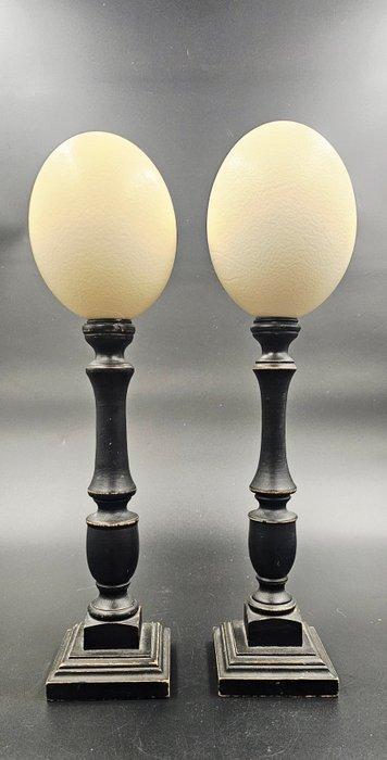 Struisvogel Ei - struthio camelus ei Ostrich egg - 480 mm -, Verzamelen, Dierenverzamelingen
