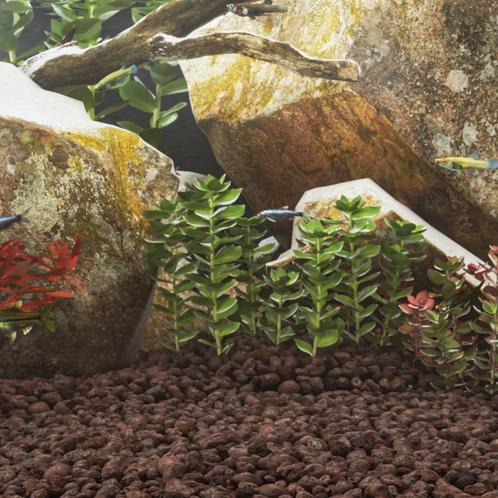 vidaXL Lavastenen 10 kg 5-8 cm rood, Dieren en Toebehoren, Vissen | Aquaria en Toebehoren, Nieuw, Verzenden
