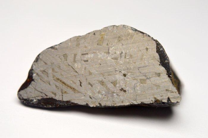 Aletai meteoor, China Exemplaar- 38.78 g - (1), Verzamelen, Mineralen en Fossielen