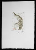 Salvador Dali (1904-1989) - Timon Of Athens, Antiek en Kunst