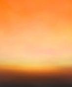 Tomi Tomi Studio - Horizont 161