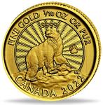 Canada. 5 Dollars 2022 Polarbär, 1/10 Oz (.999), Postzegels en Munten, Munten | Europa | Niet-Euromunten
