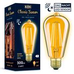 Buitenverlichting met dag/nacht sensor Classic Sensor LED 3W, Verzenden, Nieuw