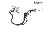 Kabelboom Hyosung GV 250 Aquila 2001-2007 KM4MJ51A, Motoren, Verzenden, Gebruikt
