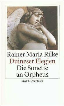 Duineser Elegien. Die Sonette an Orpheus (insel taschenb..., Livres, Livres Autre, Envoi