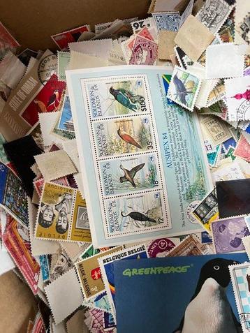 Wereld - Ruim 5000 ongesorteerde postzegels in doos,