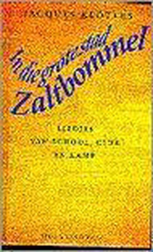 In die grote stad Zaltbommel 9789038840031, Boeken, Kunst en Cultuur | Dans en Theater, Gelezen, Verzenden
