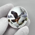 Congo. 20 Francs 2024 – Peregrine Falcon (Wanderfalke) – 1