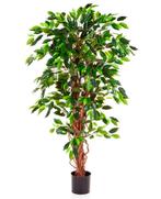 Kunstplant Ficus Liana 180 cm, Maison & Meubles, Plantes d'intérieur, Verzenden