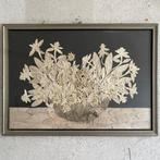 Botanisch Kunstwerk - Cadre de présentation - Edelweiss