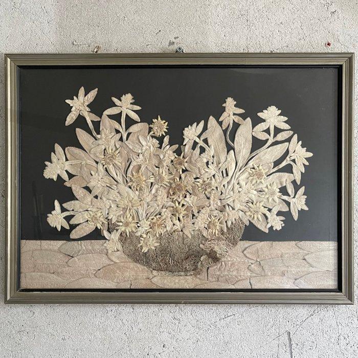 Botanisch Kunstwerk - Cadre de présentation - Edelweiss, Antiek en Kunst, Curiosa en Brocante