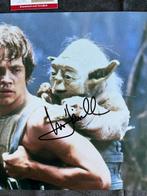Star Wars, Mark Hamill (Luke Skywalker) - Signed in Person -, Nieuw