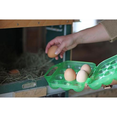 Porte-œufs en plastique pour 12 œufs, vert - kerbl, Dieren en Toebehoren, Pluimvee | Toebehoren