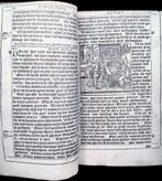 Illustrated by Pieter van der Borcht - Christophe Plantin