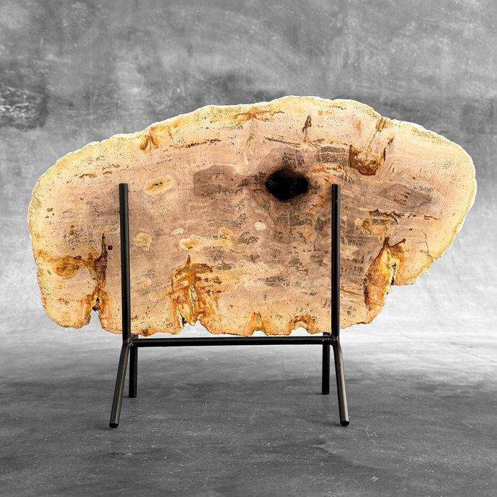 Wonderlijk sneetje versteend hout op een op maat gemaakte, Antiquités & Art, Art | Objets design