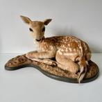 Kalfje van een Damhert Bambi Taxidermie volledige montage, Verzamelen, Dierenverzamelingen, Nieuw