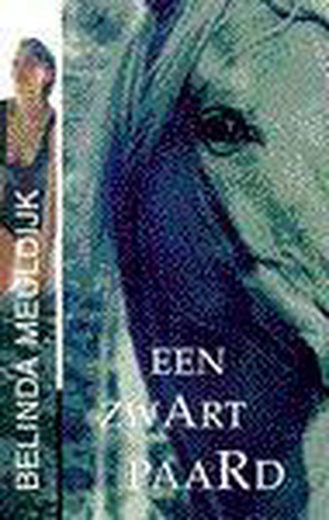 ZWART PAARD 9789032506728 B. Meuldijk, Boeken, Romans, Gelezen, Verzenden