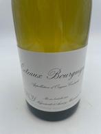 2021 Leroy Coteaux-Bourguignons ( Maison ) - Bourgogne - 1, Verzamelen, Nieuw