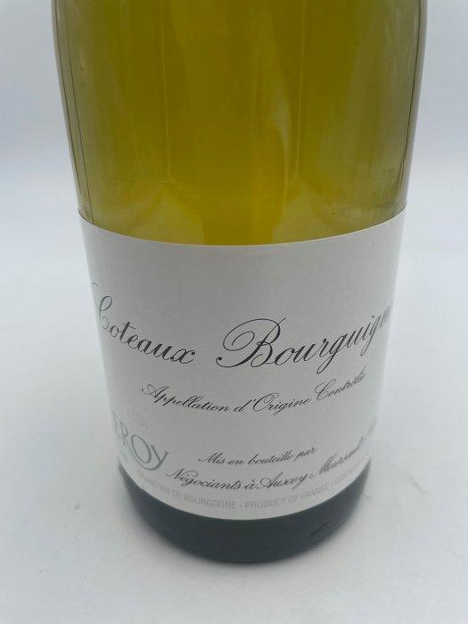 2021 Leroy Coteaux-Bourguignons ( Maison ) - Bourgogne - 1, Verzamelen, Wijnen