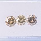 3 pcs Diamant - 1.28 ct - Rond - Gray, Yellowish Gray - SI1