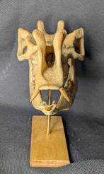 Fossiele schedel - Protoceras celer - Museum-Grade Replica -