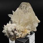 Estetico, plukje van Celestina op geel zwavel, Sicilië.