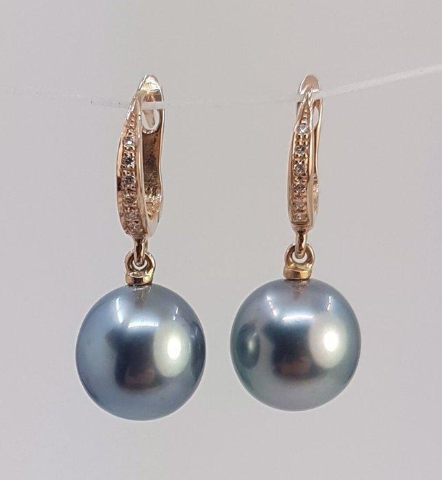 Oorbellen - 14 karaat Roségoud - 0.09ct. tw. - 10x11mm, Handtassen en Accessoires, Oorbellen