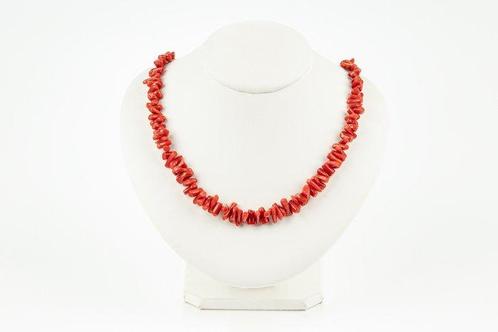 Bloedkoraal Koraal - Corallium rubrum  (Zonder Minimumprijs), Verzamelen, Dierenverzamelingen