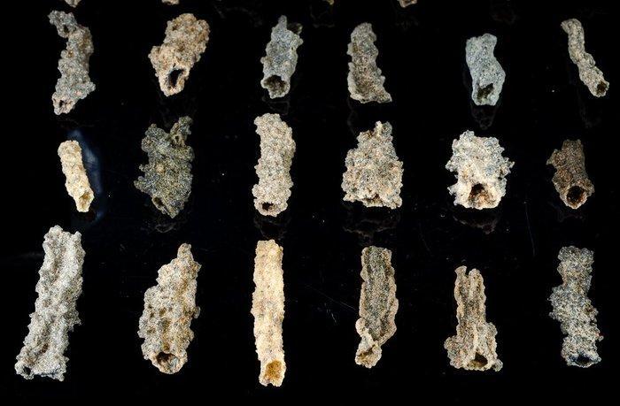 50 fulgurieten, interieur van een holle glasbuis, geshockte, Verzamelen, Mineralen en Fossielen