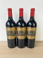 2022 Alter Ego de Palmer - Bordeaux, Margaux 3ème Grand Cru, Nieuw
