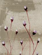 Guido Borelli - piano piano