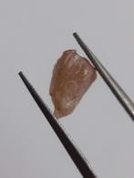 Natural brown Apatite - 1.604 ct - Rough Gemstone for faceti, Verzenden