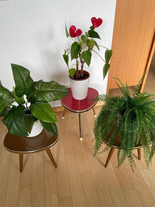 Plantentafel - Hout, kunststof, Metaal - Set van drie, Antiek en Kunst, Kunst | Designobjecten