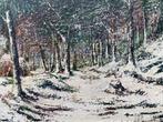 Jan Van Campenhout (1907-1972) - Winterlandschap