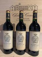 1990 Château Gruaud Larose - Saint-Julien 2ème Grand Cru, Collections, Vins
