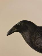 Von Wright brothers & Bror Halberg - Raven lithographic